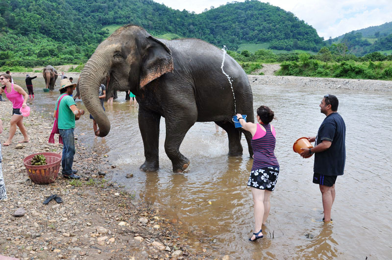 voluntariado en Laos cuidado de elefantes