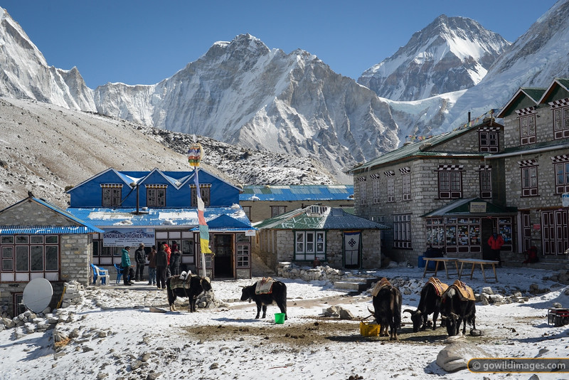 Este circuito al Parque Nacional Everest ofrece un amplio sabor del Khumbu, difícil de superar en una aventura de 3 semanas. La temporada es de febrero a noviembre en la región del Himalaya.