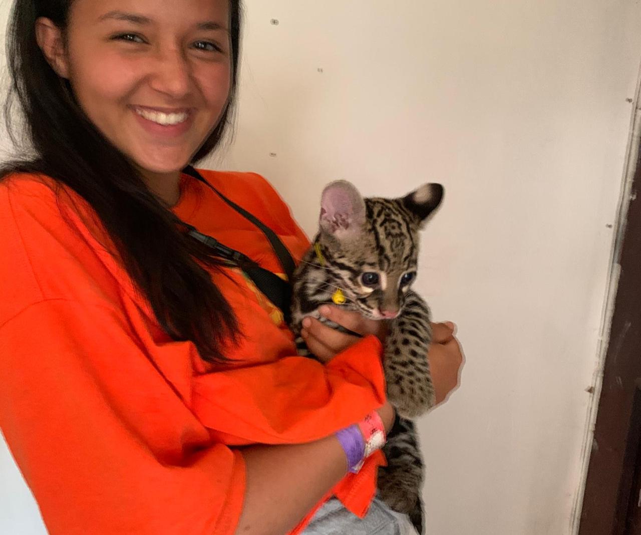 voluntariado con animales en Costa Rica