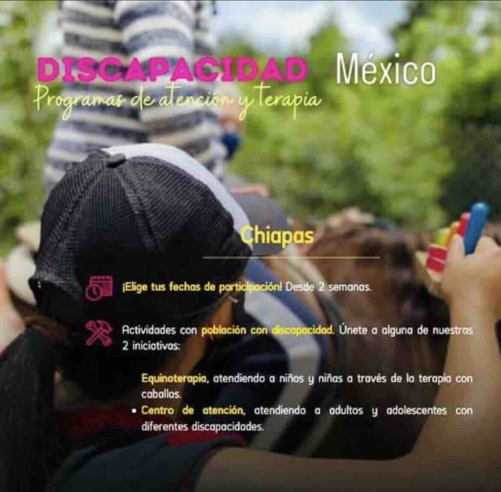 Voluntariado en México - Salud y terapia con Caballos